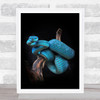 Trimeresurus Bright Blue Snaked Wrapped Around Branch Wall Art Print