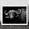 Dark Buffalo Africa Animals Monochrome Travel Safari Wall Art Print