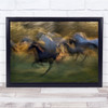 Fiery Gallop Lipicanci Horse Horses Action Speed Icm Wall Art Print