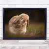 Rabbit Bunny Cute Fur Furry Bokeh Lick Licking Clean Wall Art Print