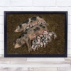 Two Mother Pigs Feeding All The Piglets Outside Wall Art Print