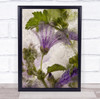 Frozen Mallow Flower Purple Ice Bubble Bubbles Wall Art Print