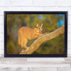 Most Beautiful Cat Anywhere Stretching On Tree Wall Art Print