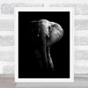 Elephant Zambia Animals Luangwa National Park Wall Art Print