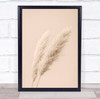 Pampas Grass Begie 15 Dried Botanical Studio Wall Art Print