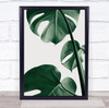 Monstera Natural 37 Botanical Studio Leaf Wall Art Print