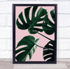 Monstera Pink No 08 Studio Botanical Leaf Wall Art Print