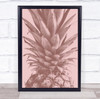 Pineapple Close Up 01 Fruit Fruits Studio Wall Art Print