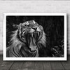 Roar Yawn Mouth B&W Tongue Tiger Fangs Wall Art Print