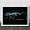 Chameleon Portrait Laying Branch Blue Wall Art Print