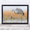 Oops Heron Fish Water Animal Wildlife Wall Art Print