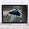 Large Bird Skimming Lake Caught Fish Wall Art Print