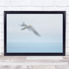 Ready For Landing Blurry Flying Bird Wall Art Print