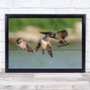 Three Birds On Wire Feeding Together Wall Art Print