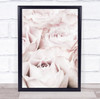 Pink Roses No 04 Rose Flower Studio Wall Art Print