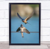 Two Birds Feeding On Wire Open Beak Wall Art Print