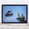 Grey Heron Animals Birs Wild Delta Wall Art Print