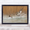 Bird Fight In Lake Blurry Motion Wall Art Print