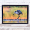 Got Ya Heron In Lake Caught Fish Wall Art Print