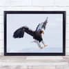 Steller's Sea Eagle Flying Alone Wall Art Print