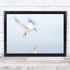 Waiting For You Two Birds Flying Wall Art Print
