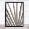 Aloe Vera Plant Illustration Wall Art Print