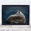 Rainy Day Eye Wolf Animal Wall Art Print Rainy Day Eye Wolf Animal Wall Art Print