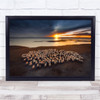 Flocks Of Sheep At Dusk Wall Art Print