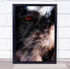 Animal Abstraction Emu Wall Art Print