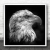 Eagle Animal Bird Pride Majestic Grandeur Dignity Head King Beak Square Wall Art Print