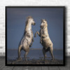 Camargue Confrontation Horse France Horses Mud Clay Beach Water Square Wall Art Print