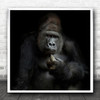 Gorilla Silverback Dark Low-Key Thinker Thinking Thoughtful Big Square Wall Art Print