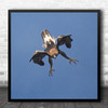 Eagle Aquila Bird Birding Animal Nature Wildlife Golden Of Prey Square Wall Art Print