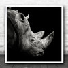 Monochrome Rhino Horn Horns Horned Graphic Animal Animals Dark Square Wall Art Print