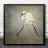 Bird Egret Snowy Split Stretch Animal Island Florida Sanibel Square Wall Art Print