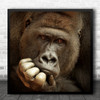 Gorilla Silverback Thoughtful Ape Monkey Thinking Thinker Square Wall Art Print