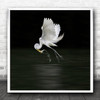 Angler Flying White Bird Catch Fish Water Square Wall Art Print