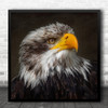 Close Up Eagle Pose Majestic Animal Bird Square Wall Art Print