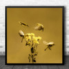 Yellow Flower And Birds Flying Square Wall Art Print