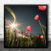 Flower Poppy Red Meadow Sun Summer Flora Floral Field Square Square Wall Art Print