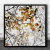 Branches Autumn Leaves Leaf Twigs Brussel Belgium Song Square Wall Art Print