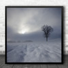 Landscape Tree Alp Swabian Alb Lonely Winter Snow White Germany Square Wall Art Print