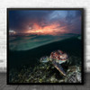 Sea Sunset Philippines Green Turtle Turtle Surface Underwater Square Wall Art Print
