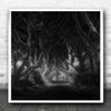 Ireland Hedges Landscape Bewitching Dark Forest Trees Path Square Wall Art Print