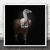 Animal Animals Bird Birds Vulture Dark Background No Black Square Wall Art Print