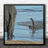 Elephant Animal Wildlife Africa Zimbabwe Hwange Water Pond Square Wall Art Print