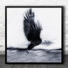 Eagle Fly Wild Wildlife Nature Animal Animals Eagles Panning Square Art Print