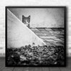 Cat Pets B&W Animal Kitten Cute Curious Street view Square Wall Art Print