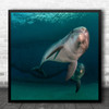 Still Life Underwater Marine Dolphins Cute Playful Square Wall Art Print