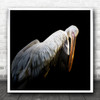 Animal Beak Pelican Bird Black Background Square Wall Art Print